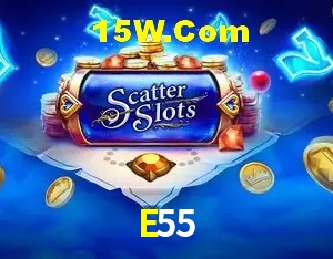 E55