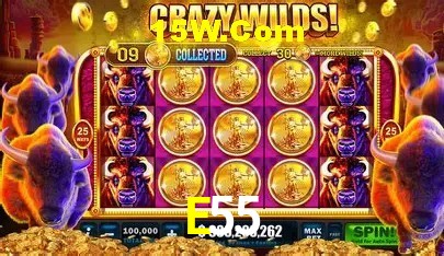 E55 Casino
